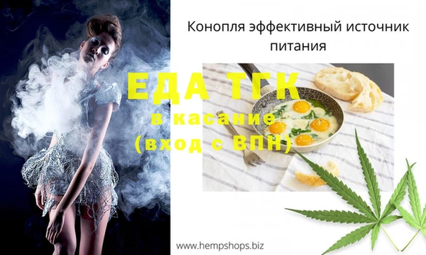 гидра Долгопрудный