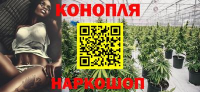 ПСИЛОЦИБИНОВЫЕ ГРИБЫ Аргун