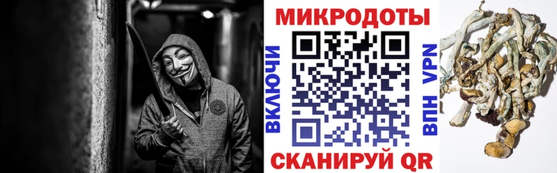 Галлюциногенные грибы Psilocybe  Долгопрудный 