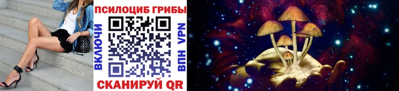 Галлюциногенные грибы GOLDEN TEACHER Долгопрудный