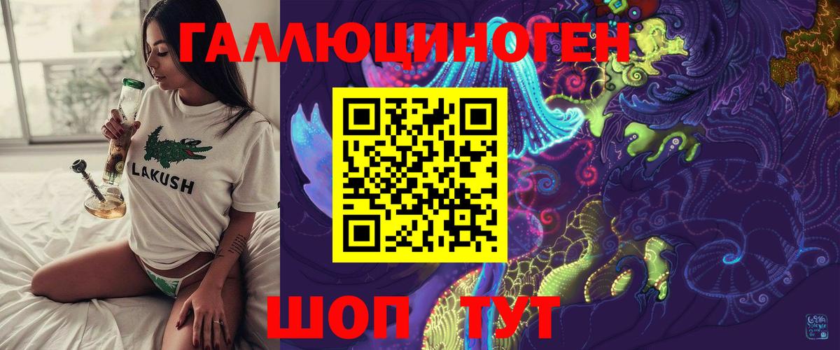 Псилоцибиновые грибы Psilocybine cubensis  Галлюциногенные грибы мицелий  Долгопрудный 